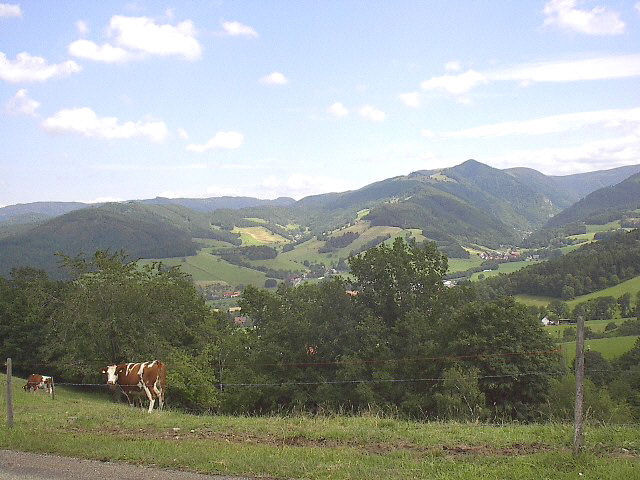 Blick von der Immi-Höhe oberhalb Oberried nach Osten zum Weilersbach (links) und Zastler (rechts) - in der Mitte der Hinterwaldkopf - am 14.7.2004