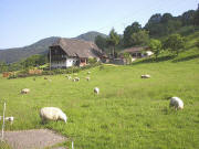 Blick nach Norden zum Lenzerhof am 25.4.2004