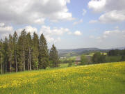 Blick nah Norden zum Willmannshof am 28.5.2004