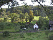 Blick nach S�dosten zur Kapelle neben dem Adamshof im Suggental
