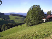 Blick vorbei am Bushof nach S�dwesten �bers Oberibental am 18.9.2004