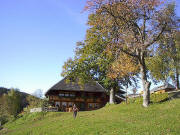 Blick nach S�dwesten zum Reesbauernhof