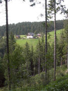 Blick nach Nordwesten zum Kapfgenmathishof