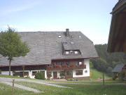Blick nach Osten zum Kapfenmathishof