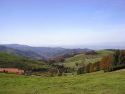 Blick vom Schauinsland bei Abzweig Gie�h�bel nach S�dwesten ins M�nstertal bis zum Belchen am 23.10.2004 