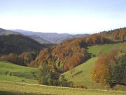 Blick vom Milchmattenhof nach S�dwesten bis zum Blauen am 23.10.2004