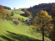 Blick nach Osten zum Milchmattenhof
