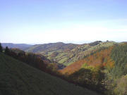 Blick vom Sattelgrundhof nach Westen zum Sonnhaldenberg