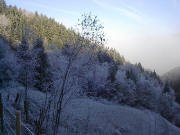 (4) Der Nebel lichtet sich im Schulterdobel am 11.1.2004