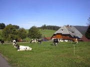 Blick nach Westen zum Vorderen Willmen am 18.9.2004