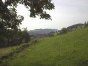 Blick nach Westen vom Sch�nbachh�usle zu Weisenhof und Horn am 10.9.2004