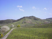 Blick nach Nordosten zum Schlossberg ob Achkaren im April 2005