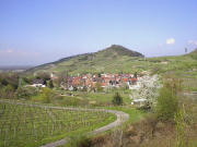 Blick nach Nordwesten zum �ber Achkarren zum Schlossberg im April 2005