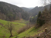 Blick von der Strasse St.M�rgen-Wagensteig inach Osten in den Holzschlag am 3.4.2005