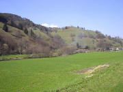Blick nach Nordosten �ber die Wiese hoch zur Kirche Maria Frieden bei Mambach