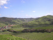 Blick nach Nordosten auf Oberbergen (links), Schelingen (Mitte) und zum Hochberg (rechts) 