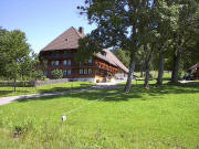 Blick nach Osten zum Baschishof am 9.8.2005