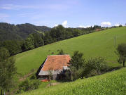 Blick nach Osten zum Bergh�usle am 5.8.2005 - oben der Steighof