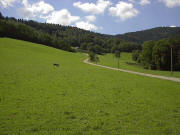 Blick nach S�den hoch zum B�gelsbacher Bergh�usle Anfang August 2005