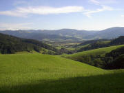 Blick vom Weg zum Recklemartin nach Süden übers Eschbachtal zum Dreisamtal und Hinterwaldkopf Anfang August 2005