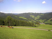 Blick vom Recklemartin in Hintereschbach nach Nordosten �ber Eschbach hoch zu den H��hen des Lindenbergs bei St. Peter Anfang August 2005