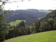 Blick von "Auf der Spirzen" nach Osten übers Fallerhäusle in die Spirzen am 5.8.2005 - oben Breitnau