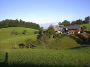 Blick nach Westen zum Glastr�gerhof am 10.8.2005 morgens