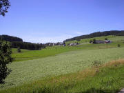 Blick nach Nordwesten zu Haldenmichelhof und Birklehof (von rechts) am 9.8.2005