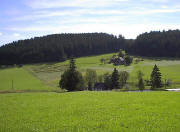 Blick nach S�den zum Hintereckhof Anfang August 2005