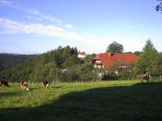 Blick nach Westen �ber den L�rchenhof zur Ohmenkapelle am 10.8.2005