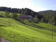 Blick nach Norden zum Molzenhof gegen 17 Uhr Ende August 2005