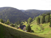 Blick nach Osten �ber Saubur und Hexenlochstrasse Anfang August 2005