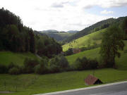 Blick nach Nordwesten vom Krummholzhof in den Schweigbrunnen zum Pfändlerhof - weiter hoch zum Zwerisberg am 1.8.2005 um 17 Uhr