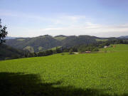 Blick nach Westen �ber Rotenbauernhof (Dach) �bers Wagensteigtal hoch zum Sommerberg mit Saierh�usle