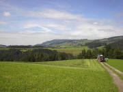 Blick auf der Steig nach Norden bis St.Peter am 5.8.2005 - rechts Traktur vom Hinterbauer 