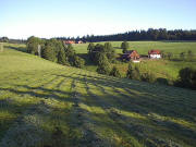 Blick nach Norden zum Theehof und Dengishof (oben Mitte) am 10.8.2005 um 7 Uhr fr�h