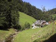 Blick nach Westen �ber den Erlenbach zum Urbanshof (Urbe's) im Holzschlag am 5.8.2005
