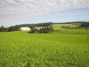 Blick vom Steinbachh�usle nach Norden zu Wei�tannenhalle, Vogelhof, Birkwegerlehof und Dengishof (von links) am 10.8.2005