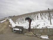Blick nach Norden in Richtung Pfaffenweiler am 18.2.2005