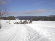 Blick nach Norden �ber den Oberfallengrundhof nach G�tenbach