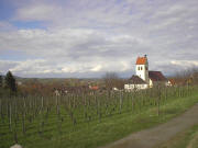 Blick nach Norden zur Gottenheimer Kirche mit Storch am 28.3.2005