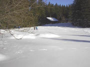 Blick nach Osten zur Skih�tte des Staatl. Forstamts Furtwangen