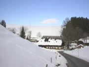 Blick nach Norden zum Kirnershof am 7.2.2005