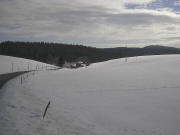 Blick nach S�den zum Burghof im Schwebeldobel von Neukirch