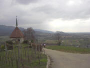 Blick über die Olbergkapelle ob Ehrenstetten nach Süden zu Steufen am 21.3.2005