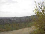 Blick vom �lberg ob Ehrenstetten nach Westen bis Kirchhofen am 21.3.2005