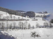 Blick nach Osten zum Birkenweghof (oben) und Kapfenhof (links) am 7.2.2005