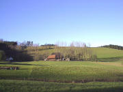 Blick nach Wsten zum Langbauernhof am Pfeiferberg am 5.1.2005