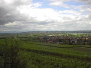 Blick vom Nordende Batzenberg nach Westen zum Tuniberg mit Munzingen