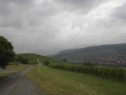 Blick vom Denkmal nach Norden �ber den verregneten Batzenberg - rechts Pfaffenweiler am 9.7.2005